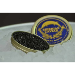 CAVIALE Siberian